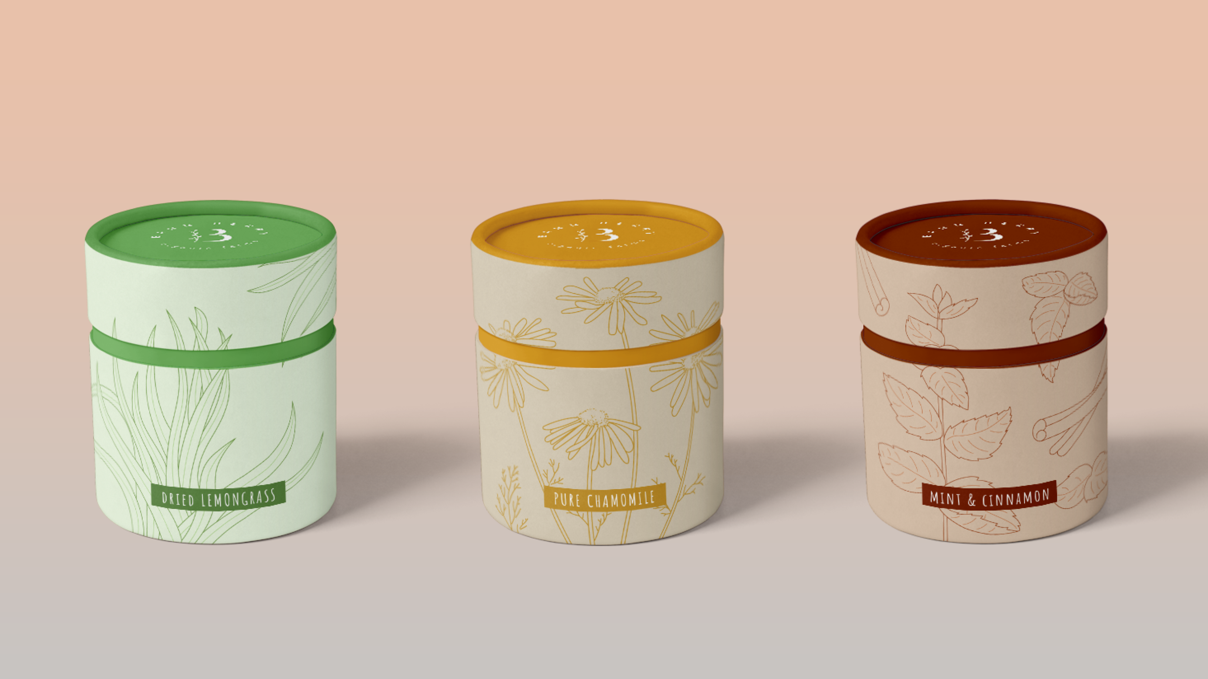 Product mockup: three canisters for dried lemongrass, pure chamomile, and mint and cinnamon, with botanical line art and labeled bands, on a soft gradient background.