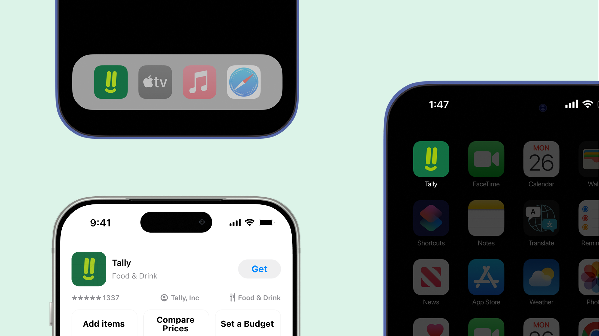 Tally app icon in iOS dock, App Store listing, and home screen.