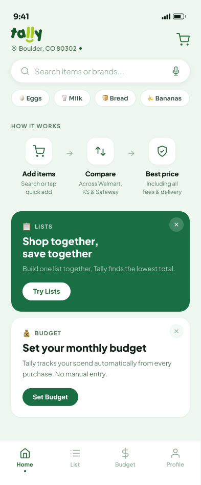 Tally home for a new user: how it works, Lists and Budget feature cards.