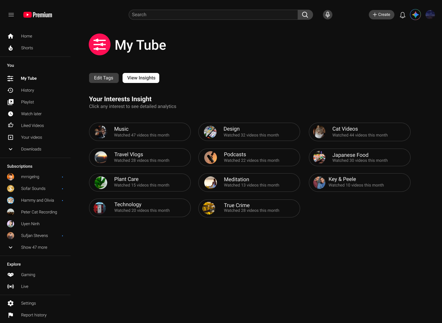 My Tube: Your Interests Insight grid with per-topic video counts for the month.