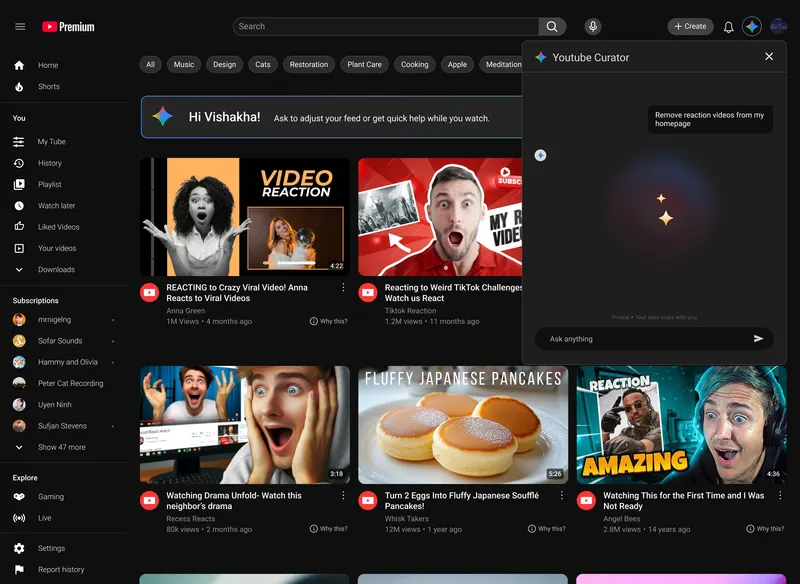 YouTube Curator: chat UI asking to remove reaction videos from the homepage, with the feed in the background.